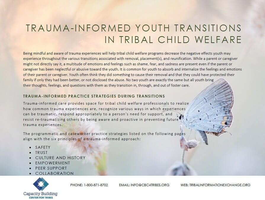 trauma informed youth transitions cover