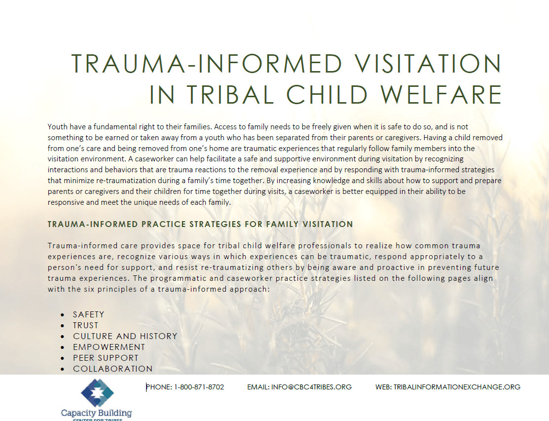 trauma informed visitation fact sheet cover
