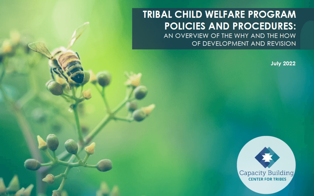 Tribal Child Welfare Program Policies and procedures: an overview of the why and the how of development and revision